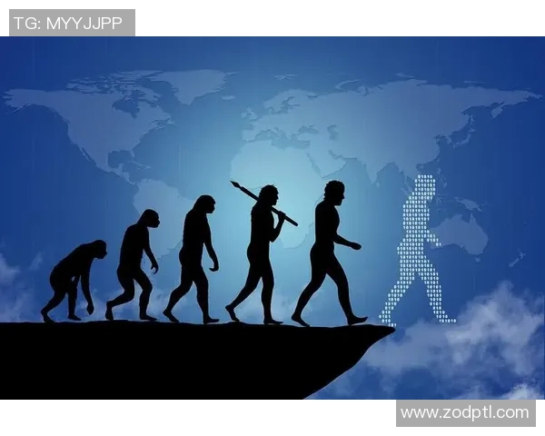 上海羽毛球队运营分析：成功经验与面临挑战的全面探讨